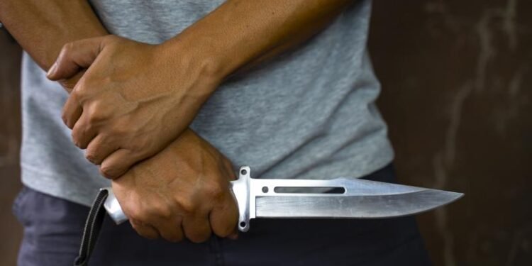 جريمة مأساوية بالشرقية.. زوج ينهي حياة زوجته طعنًا أمام طفليهما