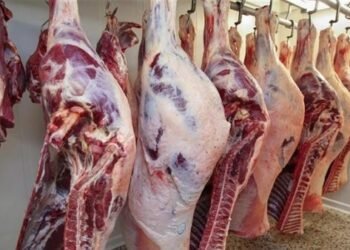 استقرار أسعار اللحوم والأضاحي اليوم الثلاثاء 26 مايو 2026 في الأسواق والمنافذ