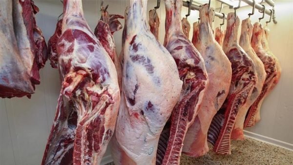 استقرار أسعار اللحوم والأضاحي اليوم الثلاثاء 26 مايو 2026 في الأسواق والمنافذ