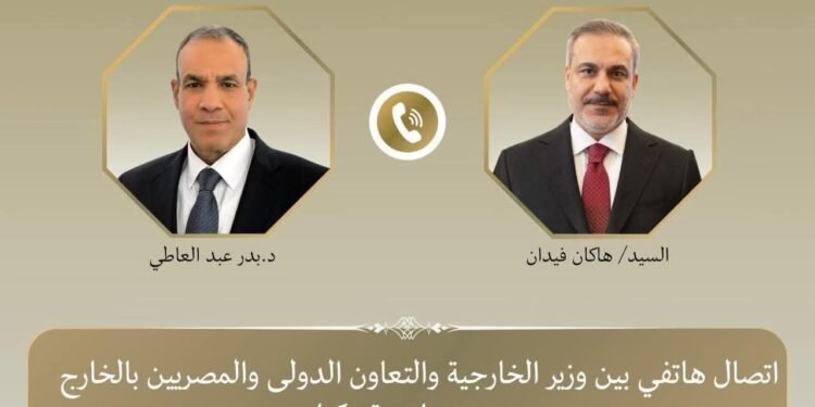 وزير الخارجية: مصر وتركيا حريصتان على خفض التوترات وإنهاء الحرب