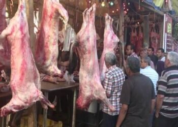 اللحوم البلدية بـ 450 جنيهاً اللحوم والمجمدة بـ 300 جنيه والبتلو يسجل 800 بمحلات الجزارة