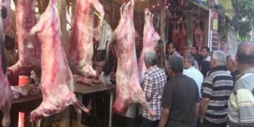 اللحوم البلدية بـ 450 جنيهاً اللحوم والمجمدة بـ 300 جنيه والبتلو يسجل 800 بمحلات الجزارة