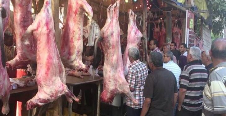 اللحوم البلدية بـ 450 جنيهاً اللحوم والمجمدة بـ 300 جنيه والبتلو يسجل 800 بمحلات الجزارة