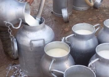 خبير زراعي يحذر من “الفورمالين” في الألبان السائبة صيفاً وغيابه في الشتاء