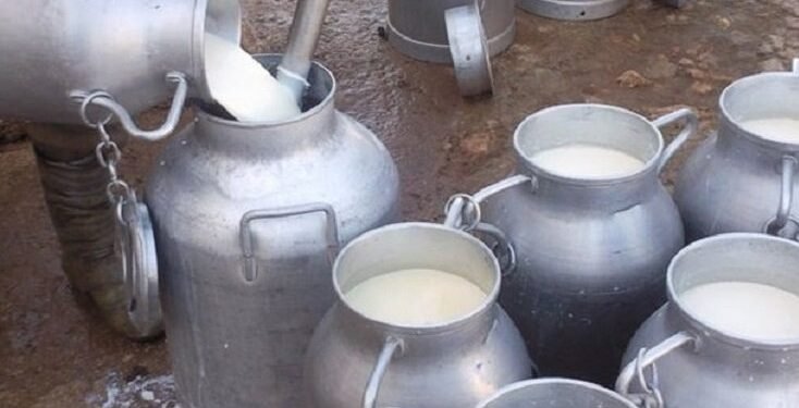 خبير زراعي يحذر من “الفورمالين” في الألبان السائبة صيفاً وغيابه في الشتاء