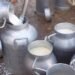 خبير زراعي يحذر من “الفورمالين” في الألبان السائبة صيفاً وغيابه في الشتاء
