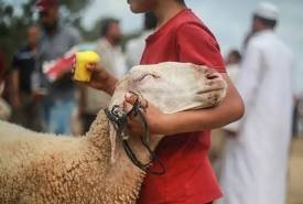 «لو هتضحي».. دار الإفتاء توضح آخر موعد لحلق الشعر وتقليم الأظافر قبل دخول ذي الحجة