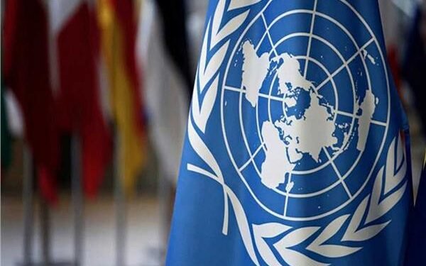 «اليونيسف»: نهنئ الحكومة المصرية على الإنجازات الضخمة في مجال التعليم آخر عامين