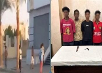 ضبط 5  أجانب بتهمة رشق سيارات المواطنين بالحجارة في المنوفية