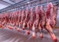 التموين تعلن فتح المجازر مجاناً وطرح لحوم مخفضة بنسبة 30% بمناسبة العيد