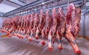 التموين تعلن فتح المجازر مجاناً وطرح لحوم مخفضة بنسبة 30% بمناسبة العيد