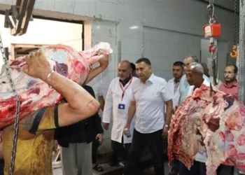 محافظ القليوبية يتفقد مجزر شبرا الخيمة ويعلن الذبح مجانًا خلال عيد الأضحى