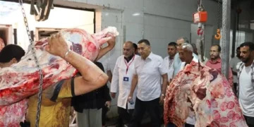 محافظ القليوبية يتفقد مجزر شبرا الخيمة ويعلن الذبح مجانًا خلال عيد الأضحى