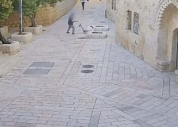 سفير تل أبيب السابق بنيودلهي: الاعتداء على الراهبة “إرهاب يهودي”