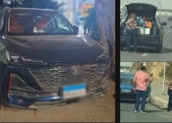 كيف استغلت سيدة إطعام كلاب الشوارع لجمع ثروة مالية؟
