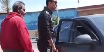 مسودة تلقائية