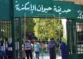 استنفار بالإسكندرية للإمساك بقرود هاربة بمدافن العامود وتجهيز أماكن لعزلها