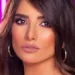 رجل أعمال يستأنف على حكم حبسه 3 أشهر في واقعة مطاردة نجلي الفنانة زينة بكلب