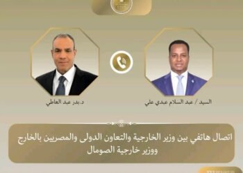 عبد العاطي يبحث مع نظيره الصومالي تطورات الأوضاع الإقليمية