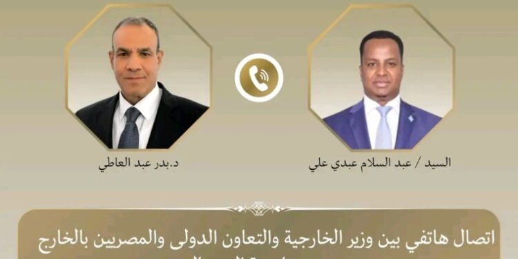 عبد العاطي يبحث مع نظيره الصومالي تطورات الأوضاع الإقليمية