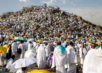 الدليل الكامل لحقوق وواجبات حجاج الجمعيات الأهلية في عرفات