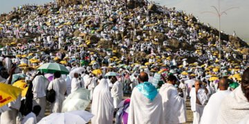 الدليل الكامل لحقوق وواجبات حجاج الجمعيات الأهلية في عرفات