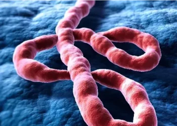 تعرف على أعراض فيروس إيبولا القاتل وطرق انتقاله وفترة الحضانة