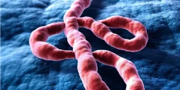 تعرف على أعراض فيروس إيبولا القاتل وطرق انتقاله وفترة الحضانة