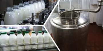 طفرة في قطاع الألبان بمصر: تطوير مراكز التجميع وتحويل “الذهب الأبيض” إلى منظومة إنتاج حديثة