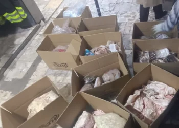 ضبط 325 كجم لحوم خنزير مجمدة داخل ثلاجة ببورسعيد ومصادرة الكميات والتحفظ عليها