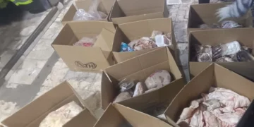 ضبط 325 كجم لحوم خنزير مجمدة داخل ثلاجة ببورسعيد ومصادرة الكميات والتحفظ عليها
