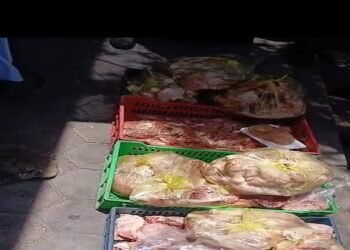 ضبط 572 كجم لحوم ودواجن وأسماك غير صالحة للاستهلاك في حملات بيطرية بالغربية