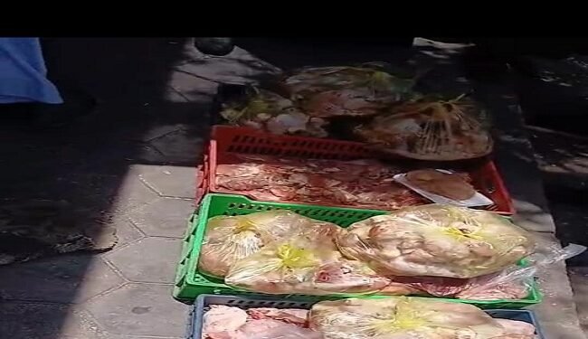 ضبط 572 كجم لحوم ودواجن وأسماك غير صالحة للاستهلاك في حملات بيطرية بالغربية
