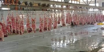 الأقصر تفتح المجازر مجانًا للمواطنين خلال عيد الأضحى