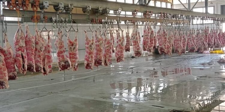 الأقصر تفتح المجازر مجانًا للمواطنين خلال عيد الأضحى