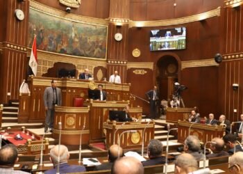 عضو بمجلس الشيوخ تنتقد ضعف إعلانات المواعيد بالمطارات: “فاتتني رحلة بسببها”