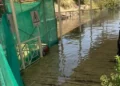 مدير آثار أسوان: لا ضرر على السياحة من ارتفاع مياه النيل على مرسى معبد فيلة