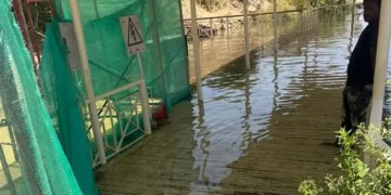 مدير آثار أسوان: لا ضرر على السياحة من ارتفاع مياه النيل على مرسى معبد فيلة