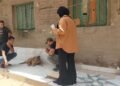 حملة بيطرية واسعة لتحصين الكلاب الحرة ومكافحة السعار بمحافظة القليوبية