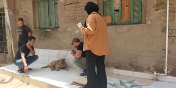 حملة بيطرية واسعة لتحصين الكلاب الحرة ومكافحة السعار بمحافظة القليوبية