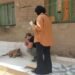 حملة بيطرية واسعة لتحصين الكلاب الحرة ومكافحة السعار بمحافظة القليوبية
