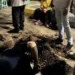 تحرك عاجل بعد هبوط أرضي في المنوفية