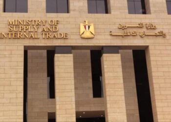 التموين تضبط وتعدم 3 أطنان دواجن نافقة في الجيزة