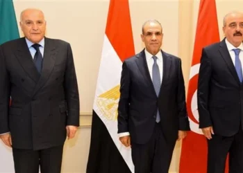 مصر وتونس والجزائر تؤكد دعم وحدة ليبيا وخروج القوات الأجنبية