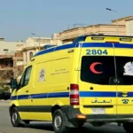 إصابة 22 شخصًا في انقلاب سيارة ربع نقل بالوادي الجديد