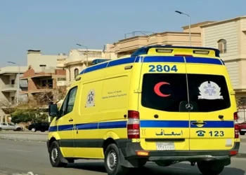 إصابة 22 شخصًا في انقلاب سيارة ربع نقل بالوادي الجديد