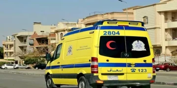 إصابة 22 شخصًا في انقلاب سيارة ربع نقل بالوادي الجديد