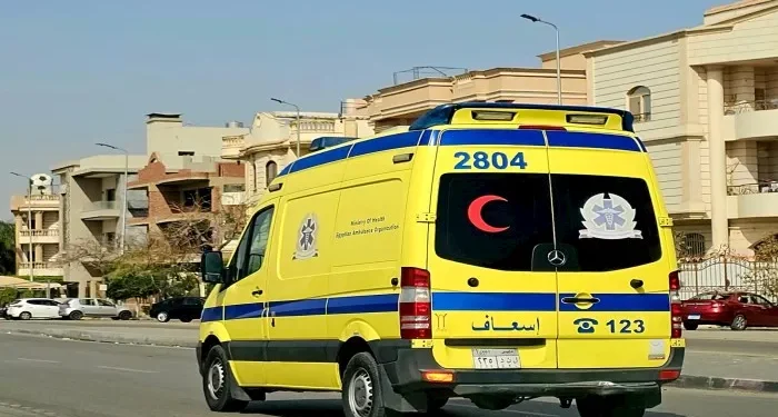 إصابة 22 شخصًا في انقلاب سيارة ربع نقل بالوادي الجديد