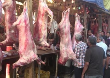 ارتفاع جديد في أسعار اللحوم اليوم الأربعاء.. الكيلو يقفز في الضاني والبتلو والكندوز