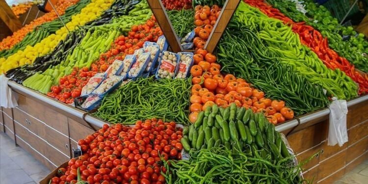 استقرار أسعار الخضروات اليوم في الأسواق